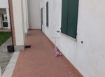foto8